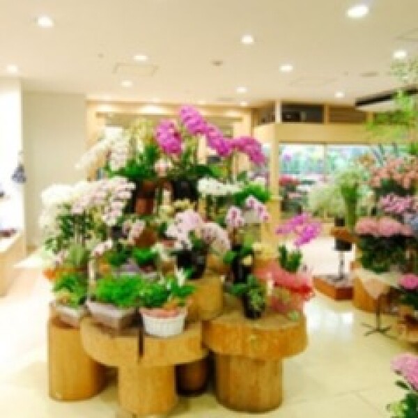 【おしごと体験】お花屋さん体験