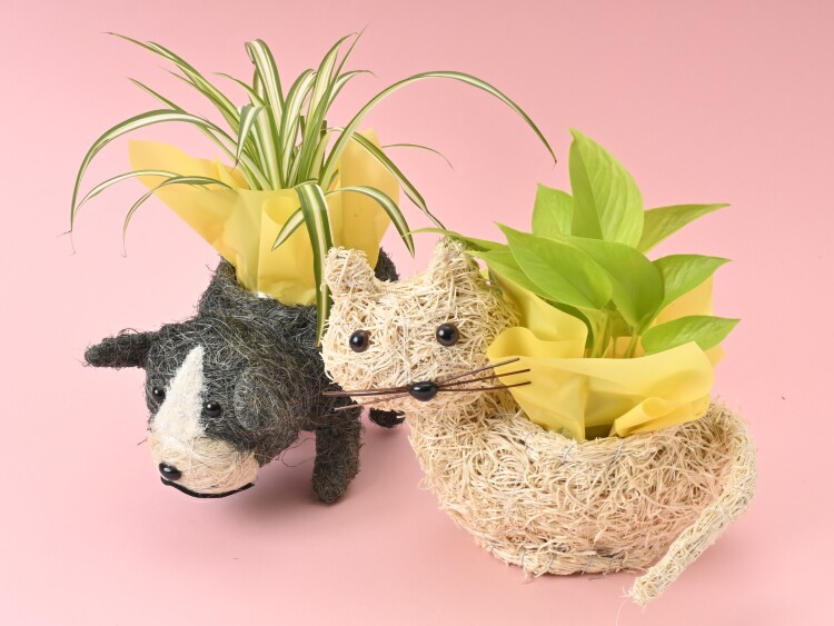 【日常の動物モチーフ】アニマルバスケット